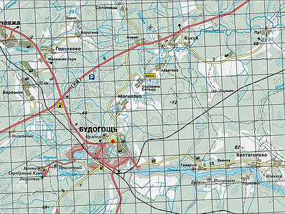 Будогощь садоводство ракитино карта