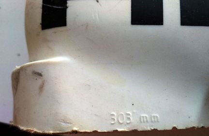 Горнолыжные ботинки Head Raptor 120