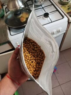Корм для котят Purina Pro plan Junior с индейкой